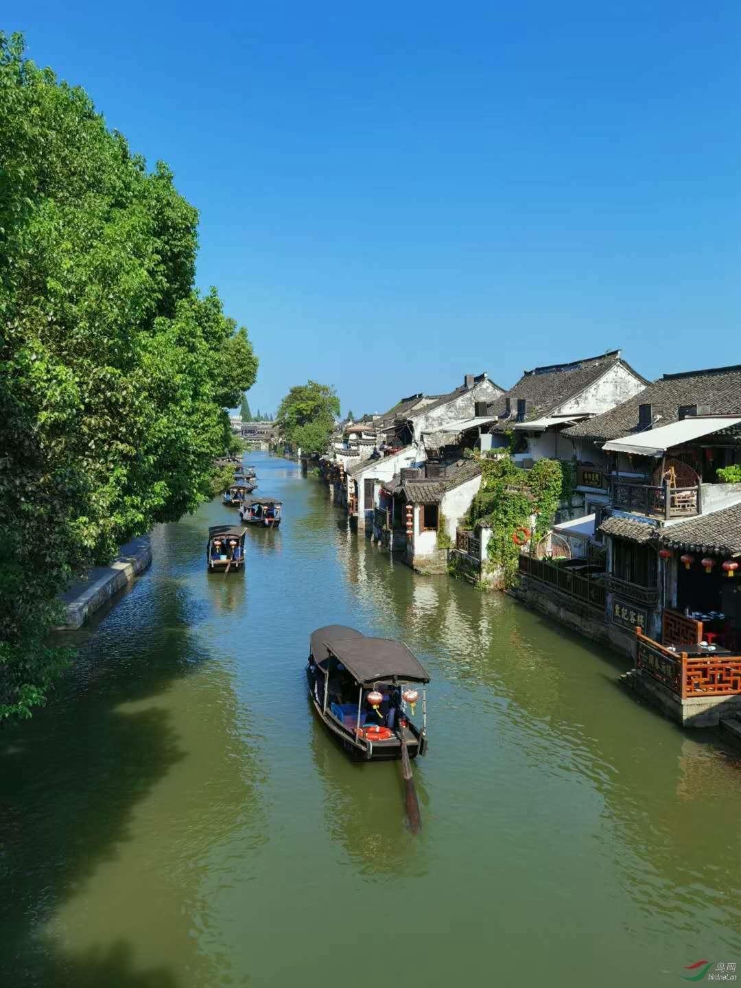 探索抖音被默认为流量最好的作品我可以直接拿过来一点不改就发吗?,解答你的疑问